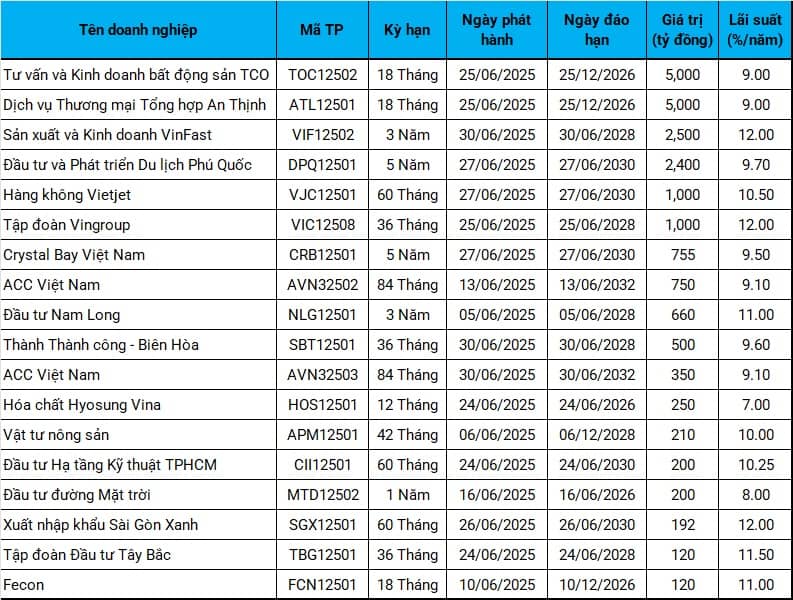 Trái phiếu riêng lẻ tháng 6/2025 bùng nổ với 123 ngàn tỷ đổ vào thị trường