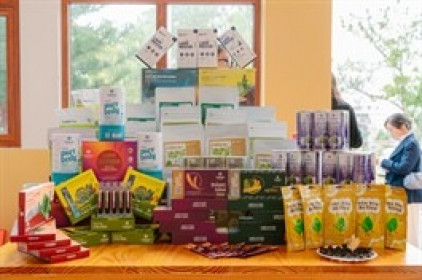 Ladophar ước doanh thu bán niên cao nhất 5 năm, lãi trước thuế hơn 2 tỷ