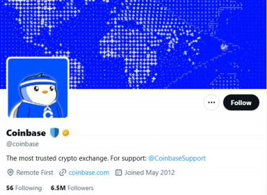 Coinbase "đổi avatar" khiến cả hệ sinh thái chim cánh cụt Pudgy Penguins bay cao