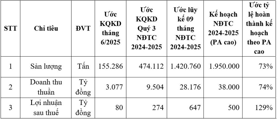 Linh hoạt, chủ động trong kinh doanh, lợi nhuận sau thuế HSG ước đạt 647 tỷ đồng, hoàn thành 129% kế hoạch