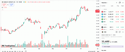 DBC vượt kế hoạch lợi nhuận năm, lên kế hoạch trả cổ tức 2024 bằng cổ phiếu