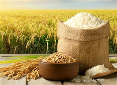 Foodcosa lỗ quý thứ 5 liên tiếp, lỗ lũy kế hơn 200 tỷ