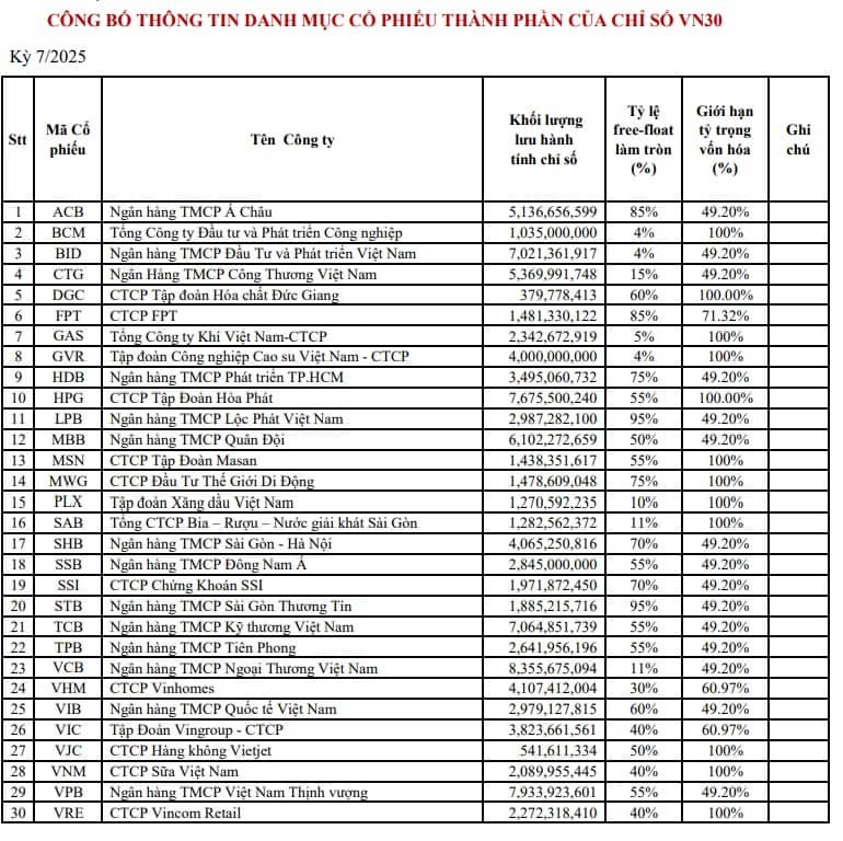 Đảo danh mục VN30 kỳ tháng 7/2025: Thêm DGC, loại BVH