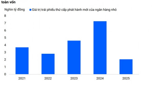 Trái phiếu thứ cấp vẫn là “phao cứu sinh” cho các ngân hàng nhỏ