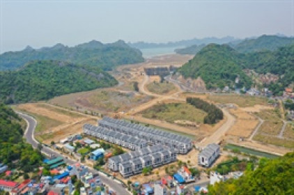 Vinaconex không còn là công ty mẹ của chủ đầu tư dự án khu nghỉ dưỡng Cát Bà Amatina