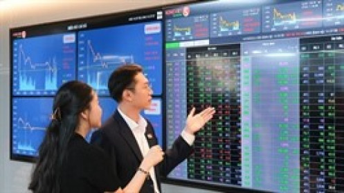 Chứng khoán Rồng Việt công bố KQKD quý 2/2025: Ổn định nền tảng, vững vàng tương lai