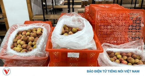 Chinh phục thị trường Hoa Kỳ: Tăng cạnh tranh chất lượng và giá bán sản phẩm