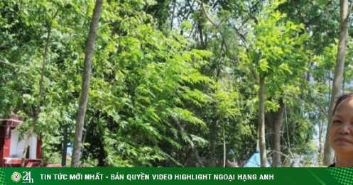 Mất tiền tỷ chuyển đất vườn sang đất ở: Mức thu cần linh hoạt, không quy định ‘cứng’