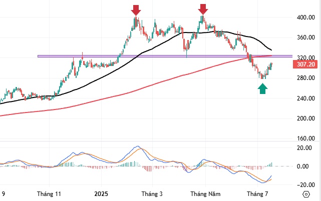 Báo cáo Hàng hóa quý 3/2025 (Kỳ 2): Tín hiệu phân kỳ xuất hiện