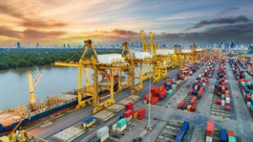 Lợi nhuận doanh nghiệp cảng phân hóa mạnh ngay từ loạt báo cáo đầu tiên