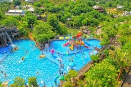 Chủ tịch DSD chuyển nhượng cổ phần cho con trai, giao dịch dưới giá thị trường