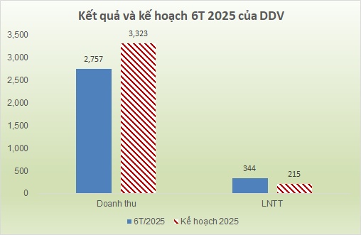 Lợi nhuận tăng vọt, DDV vượt kế hoạch năm chỉ sau 6 tháng