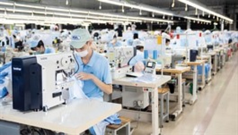 Huegatex hưởng lợi trước thời điểm Mỹ áp thuế, lãi quý 2 cao chưa từng có