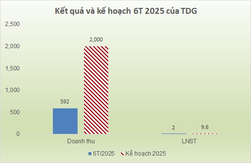 TDG kinh doanh ảm đạm, nửa năm chưa đạt 20% kế hoạch