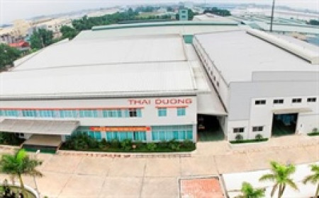 TDG kinh doanh ảm đạm, nửa năm chưa đạt 20% kế hoạch