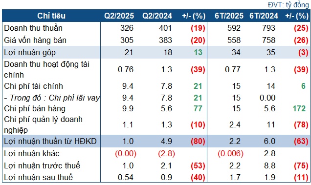 TDG kinh doanh ảm đạm, nửa năm chưa đạt 20% kế hoạch