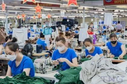 TNG báo lãi quý 2 cao nhất lịch sử, cổ phiếu tăng hơn 40% trong 3 tháng