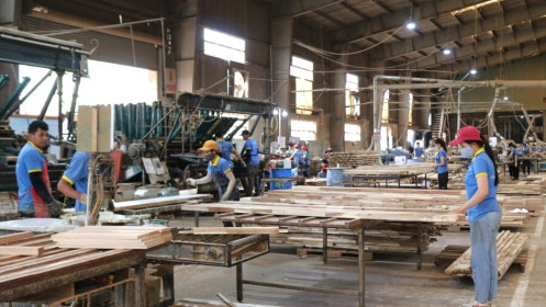 Đắk Lắk: Phấn đấu tăng trưởng kinh tế đạt 8,64% trong 6 tháng cuối năm