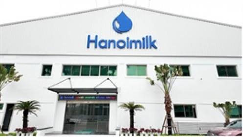 Hanoimilk giảm lợi nhuận quý 2, sạch nợ lãi vay