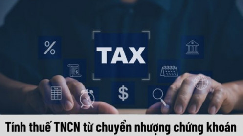 Chuyên gia: Thu thuế 20% lãi chuyển nhượng chứng khoán sẽ công bằng hơn, lỗ không còn phải đóng thuế