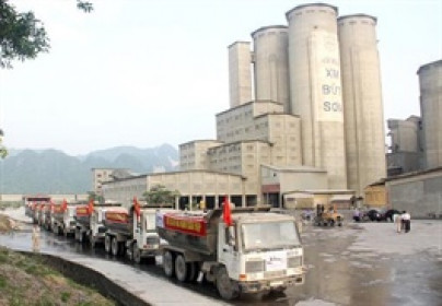 Xi măng VICEM Bút Sơn có lãi trở lại sau 10 quý lỗ