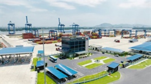 Chủ cảng Phước An lỗ đậm đúng kế hoạch, doanh thu mới được 1/4 kỳ vọng