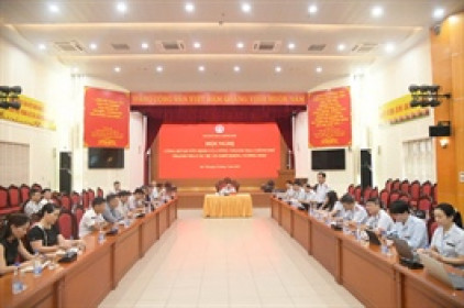 Thanh tra Chính phủ vào cuộc loạt dự án vướng mắc của HUD, Viglacera, Tara Land