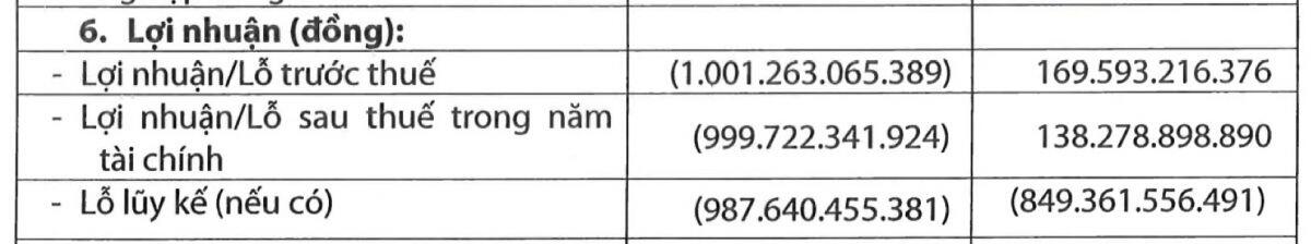 Công ty điện mặt trời của Trungnam Group lãi gần 140 tỷ sau năm thua lỗ