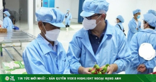 Hỏa tốc 'giải cứu' thanh long, hồ tiêu, ớt... đang tắc đường sang châu Âu