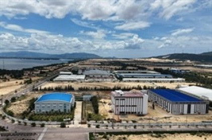 Bidiphar có chuỗi 6 quý tăng trưởng liên tiếp, đạt hơn 60% kế hoạch năm sau 6 tháng