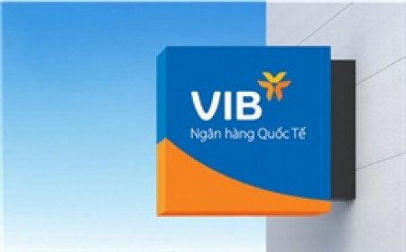 VIB: Lợi nhuận 6 tháng hơn 5,000 tỷ đồng, tổng tài sản vượt mốc nửa triệu tỷ, tăng trưởng tín dụng 10%