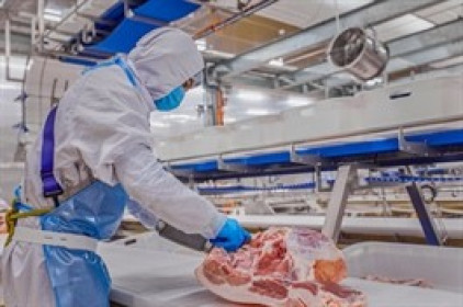 Bứt phá trong quý 2, MML nâng lãi ròng bán niên lên gần 360 tỷ