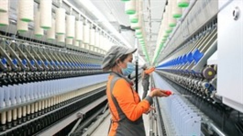 Sợi Thế Kỷ báo lỗ quý 2, chi phí tài chính "nuốt" hết lợi nhuận