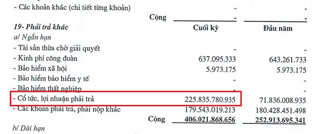 Vosco thua lỗ nửa đầu năm, cổ tức đầu tiên sau gần 15 năm đang đến gần?