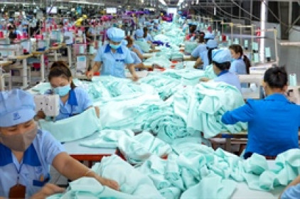 Garmex lỗ thêm quý 2, tồn kho vẫn "kẹt" chờ Gilimex