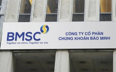 BMSC sắp phát hành 125 triệu cp riêng lẻ, nhóm Hoàn Cầu có mặt trong danh sách phân phối