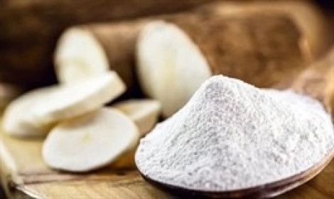 Hai doanh nghiệp tinh bột sắn trái chiều lợi nhuận quý 2