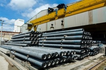 ACE chốt trả cổ tức tiền mặt 25% đợt cuối 2024