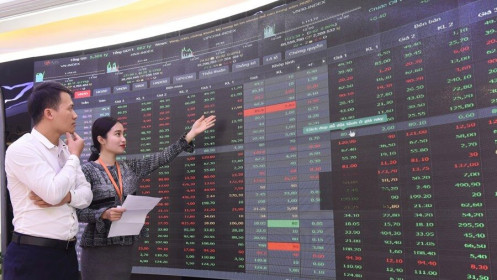 Một tuần chững lại: Thị trường đang nói điều gì?