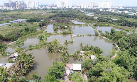 Quốc Cường Gia Lai trả nợ 100 tỷ đồng dự án liên quan bà Trương Mỹ Lan