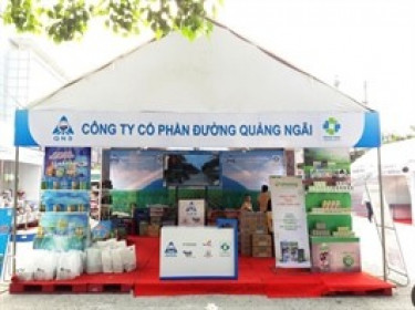 Dòng tiền ngập két, QNS tạm ứng cổ tức gần 368 tỷ