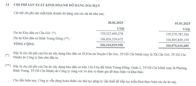 Sau hơn 2 thập kỷ góp vốn, Savico bán dự án Cần Giờ cho GELEX