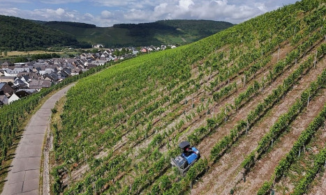 Doanh nghiệp châu Âu tìm cách thích nghi thuế mới của Mỹ