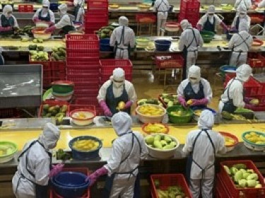 Xuất khẩu nông, lâm, thủy sản 7 tháng gần 40 tỷ USD, cà phê lập kỷ lục mới