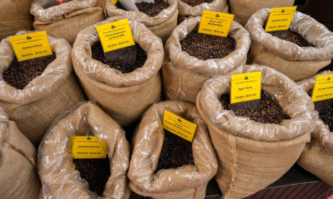 Thuế quan 50% của ông Trump 'nắn' lại dòng chảy cà phê Brazil