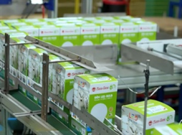 Doanh thu và lợi nhuận của Bóng đèn Rạng Đông lao dốc