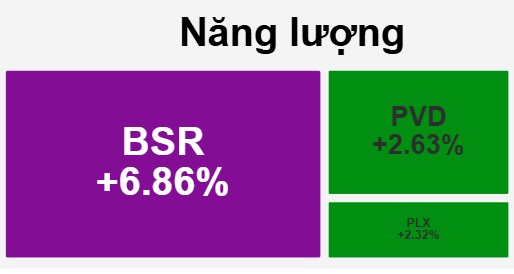 BSR tím trần trong phiên VN-Index lập đỉnh thời đại