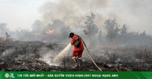 Bảo hiểm đã chi trả hơn 80 tỷ USD nửa đầu 2025: Cháy rừng và giông bão gây tổn thất kỷ lục