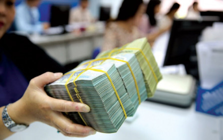 Thu ngân sách xuất nhập khẩu 7 tháng tăng 9,1%