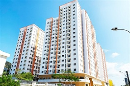 HQC muốn phát hành 50 triệu cp để hoán đổi 500 tỷ đồng nợ